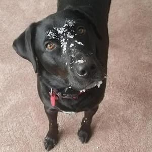 Meet your Posher, Shaina